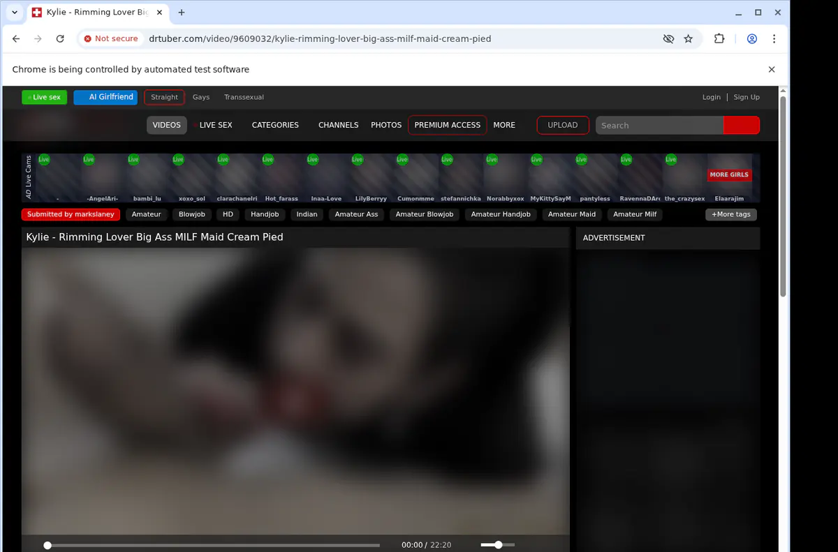 Drtuber Video Downloader screenshot 3