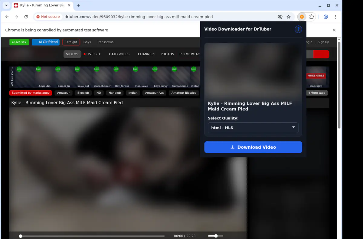 Drtuber Video Downloader screenshot 4